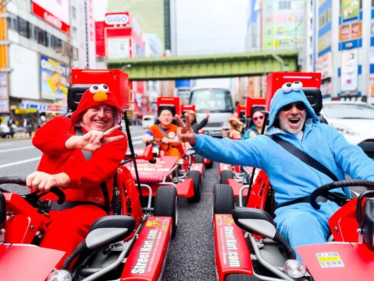 A Unique Tokyo Experience: Embark on an Extraordinary Street Kart Adventure in Akihabara
